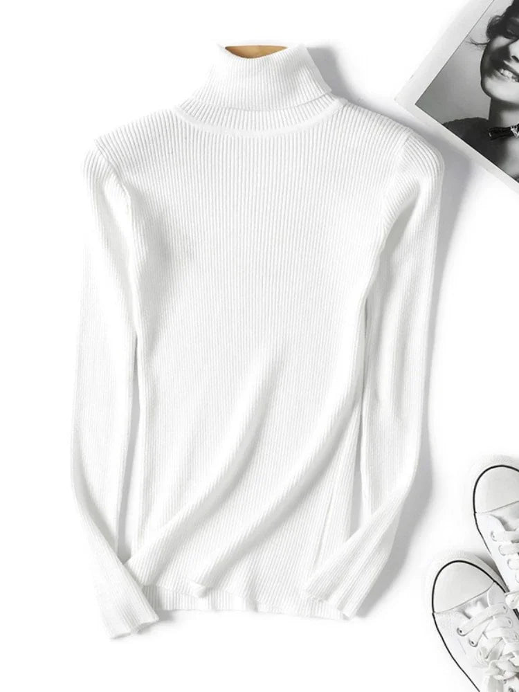 Form Knit Turtleneck
