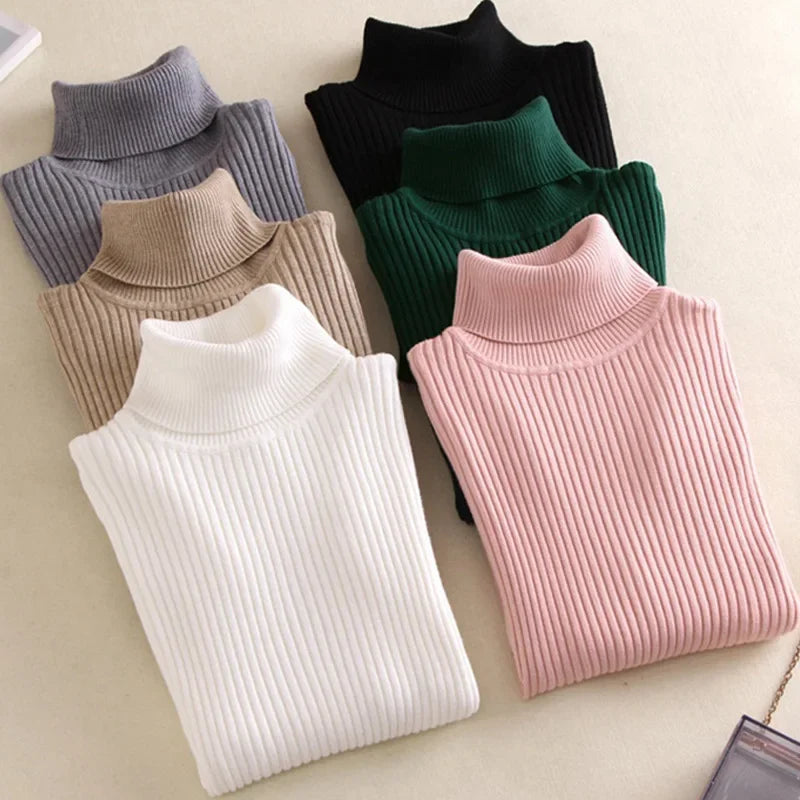Form Knit Turtleneck
