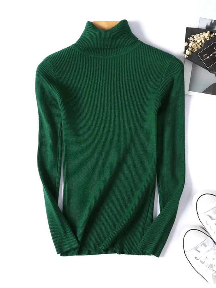 Form Knit Turtleneck